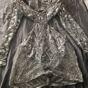 Elegant Silver Embellished Dress